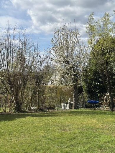 Blick in den Garten