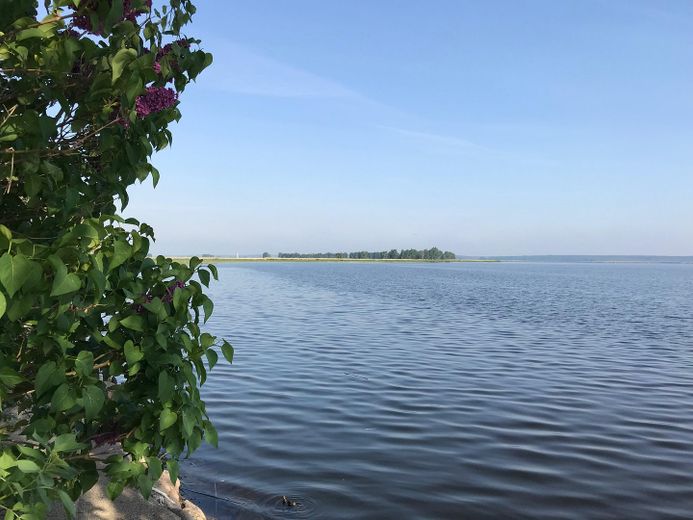 Exklusives Wasserdomizil am Peenestrom – Umgeben von Wasser und Natur – Foto 2
