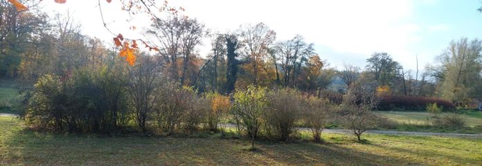 Blick vom Grundstück