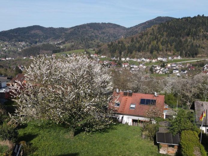 IDYLLE AU CŒUR DE LA NATURE ET DE LA VILLE – Foto 1