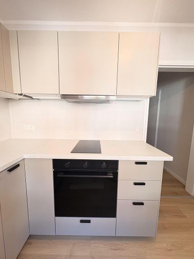 Helle 1,5-Zimmer Wohnung mit Einbauküche in EG, Alsfeld – Küche