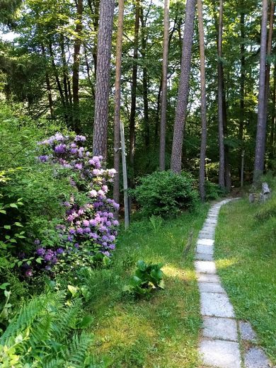 Weg zum Haus