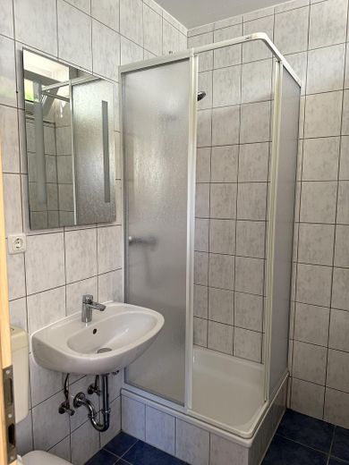 Zentral gelegenes Apartment in der Mainzer Altstadt – Duschbad