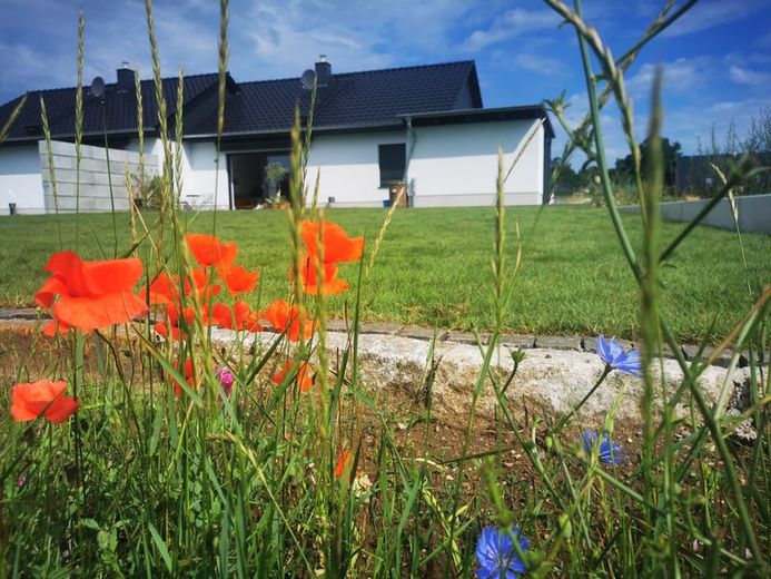 Gepflegter sowie moderner Bungalow mit Terrasse und Garage in Luckau – Foto 2