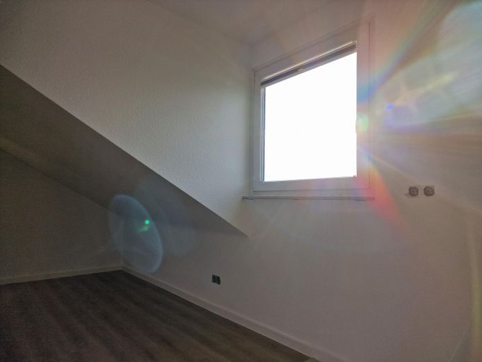 Fenster Küche 