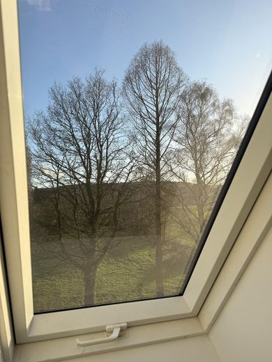 Villa señorial de categoría excepcional: refugio exclusivo en una parcela ajardinada de 5.245 m² en Bad Essen – Foto 48