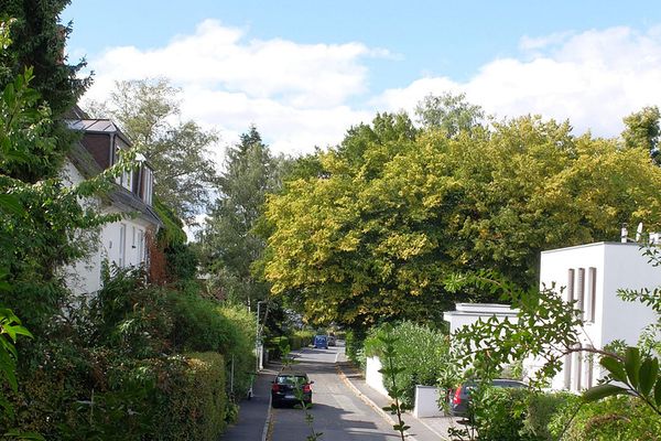 Architektenwohnung mit 5 Zimmern im Ostviertel von Göttingen
