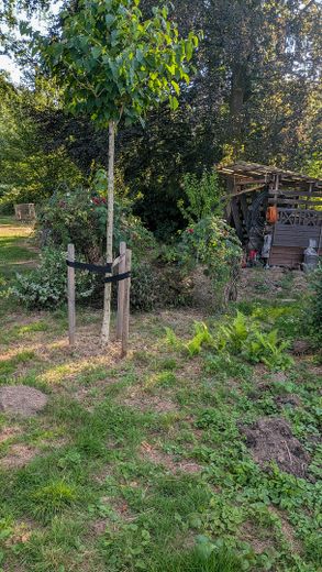 OHNE MAKLER! Freistehendes EFH auf 1.416 m² – seltenes Grundstück in zentraler Lage von Hennef – Garten