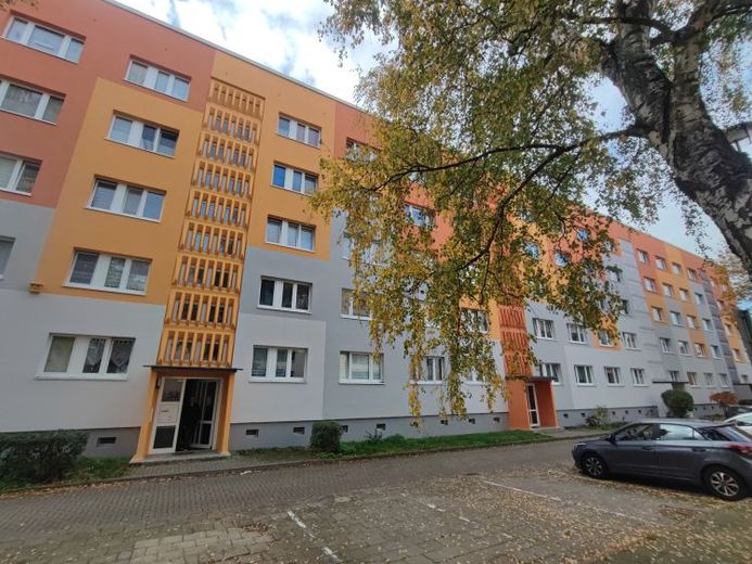 Wohnung frisch saniert- viel Platz für Familien – Foto 1