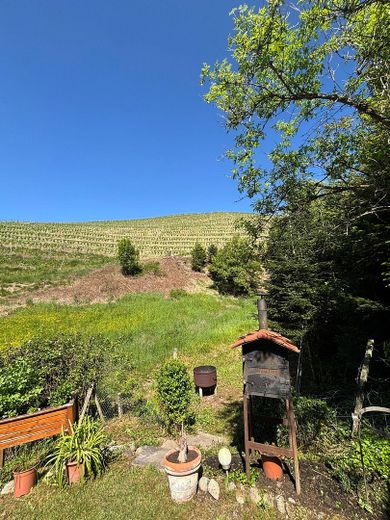 Attraktive Immobilie inmitten der Weinberge von Bottenau – Foto 3