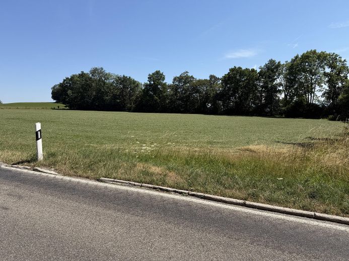 1,48 ha Attraktives Grundstückspaket aus Wiese & Wald in Reichling – Gut erreichbare Lage am Lechtal – Foto 2