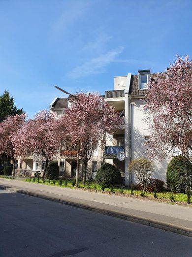 3 Zimmer Wohnung mit Balkon in Niederkassel – Hausansicht