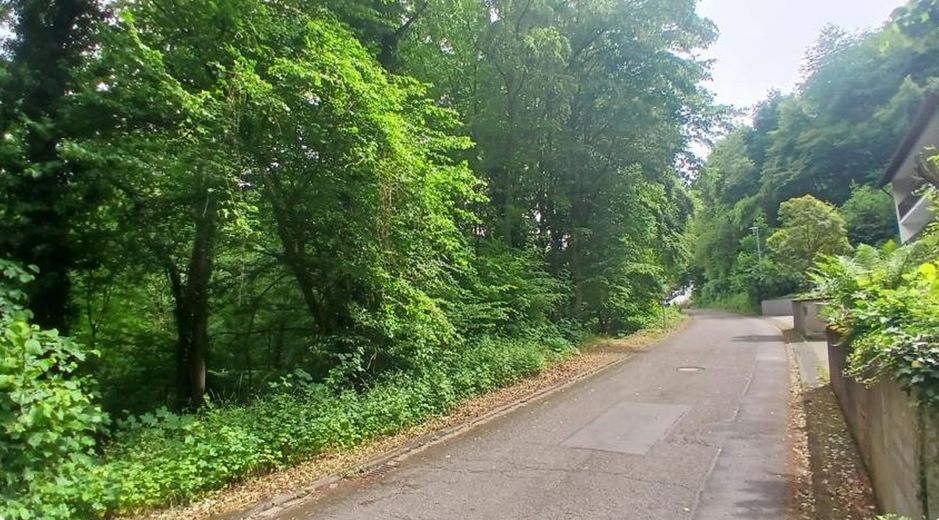 Terrain avec potentiel de vue sur le Rhin en bordure de village – Straßenansicht 