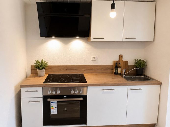 Einziehen und Wohlfühlen - 1 Zimmer Apartment mit Küche – neue Küche incl. Elektrogeräte