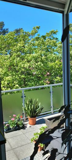 Blick vom Balkon ins Grüne