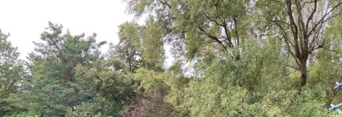 Свіжовідремонтована родзинка для проживання з балконом і відкритою кухнею