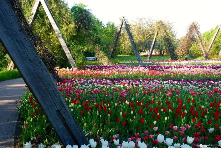 Перше заселення: сучасна, світла 2-кімнатна квартира в новобудові з балконом, ліфтом, безбар’єрна, в Альт-Марієндорфі – Britzer Garten 