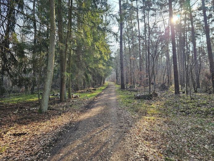 senza provvigione - elegante - a contatto con la natura : gioiello abitativo con infrastruttura perfetta – idyllische Waldwanderwege