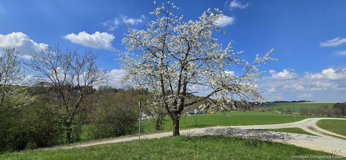 Landhaus - naturnahes Wohnen in ruhiger, dörflicher Umgebung - Geretsham 9, Triftern
***   STARTPREIS: 525.000,- EUR - ZIELPREIS  730.000,- EUR   *** – Geretsham 9_17.04.2026_ (42)