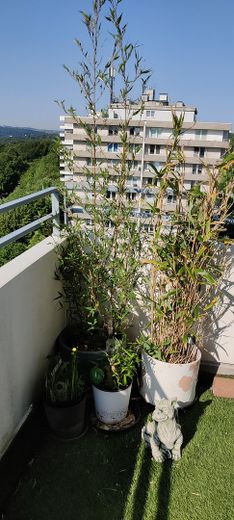 Lichtdurchflutete große Eigentumswohnung Wuppertal Elberfeld/Uellendahl mit Traum-Ausblick – Ausblick nach Südwesten