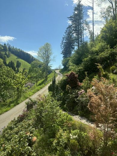 Blick nach Westen Wölfisbrunn 