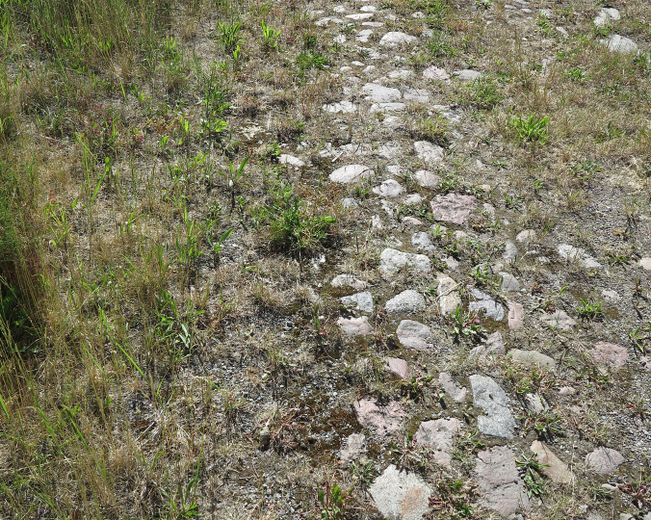 eines der letzten, erhaltenen SCHEUNENGUTSHÄUSER (mit 4-6 ha. Naturgrundstück) – gepflasterte Wege rund um's H.