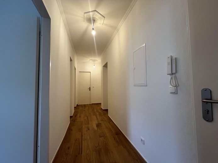 Stilvolle 3-Zimmer-Wohnung am Helmholtzplatz- frisch renoviert und bezugsfertig – Flur