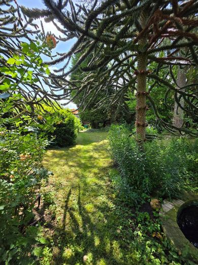 Freistehendes Dornröschen in toller Lage (von privat) – Garten (2)