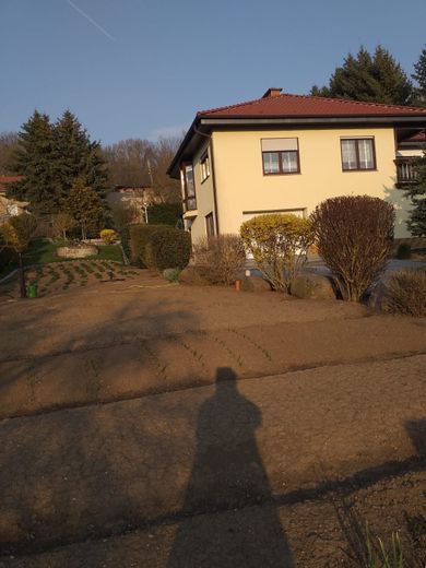 Sondershausen-OT, EFH – a666210deffa447fe1a0e5f43ab435ff.jpg