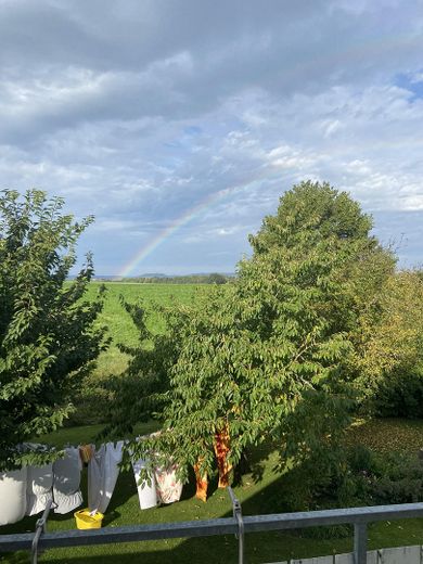 Field-edge location & sunset, detached single-family house with 224 sqm and PV system – Blick vom Balkon 