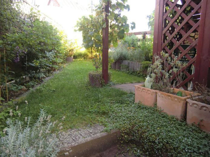Garten vom Haus her gesehen