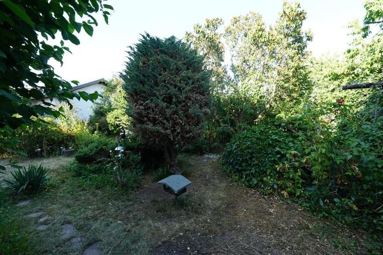Einfamilienhaus in Wernigerode - von privat zu verkaufen – Garten