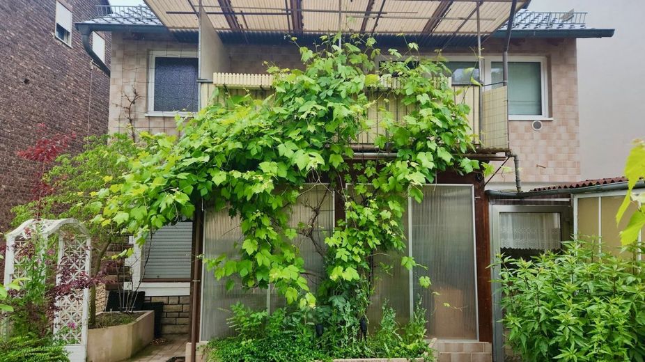 Menden: Flexibler Altbau mit reichlich Platz und vielen Optionen! – Rückansicht