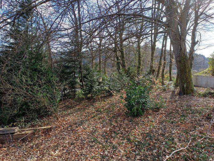 Terreno edificabile progettato in posizione privilegiata a Wilhelmsfeld – der kleine Wald