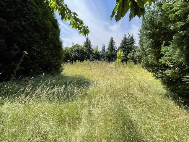 Haus freistehend gute Lage 180 QM Wohnfl 1200 QM Grund Provisionsfrei – Foto 14