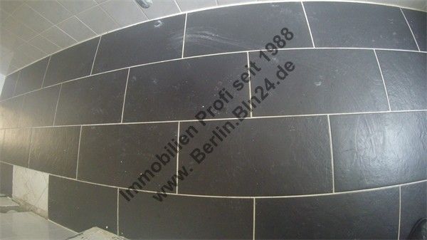 Mietwohnung für Single --- ruhig schlafen zum Innenhof – G0040132