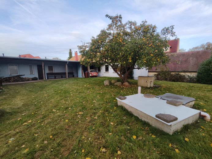 Garten mit Poolwanne