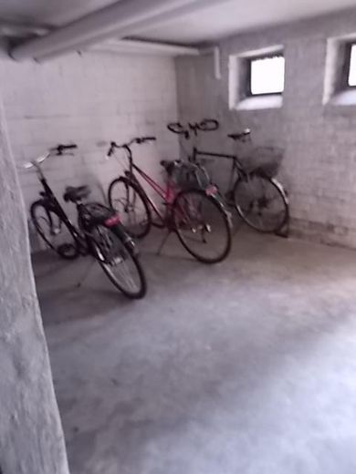 RESERVIERT  Schäfersee-Nähe! Bezugsfrei, lebendig – Fahrradkeller