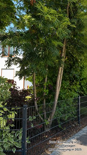 Mehrparteienhaus in Erding – Attraktive Kapitalanlage ohne Maklerprovision – Foto 17