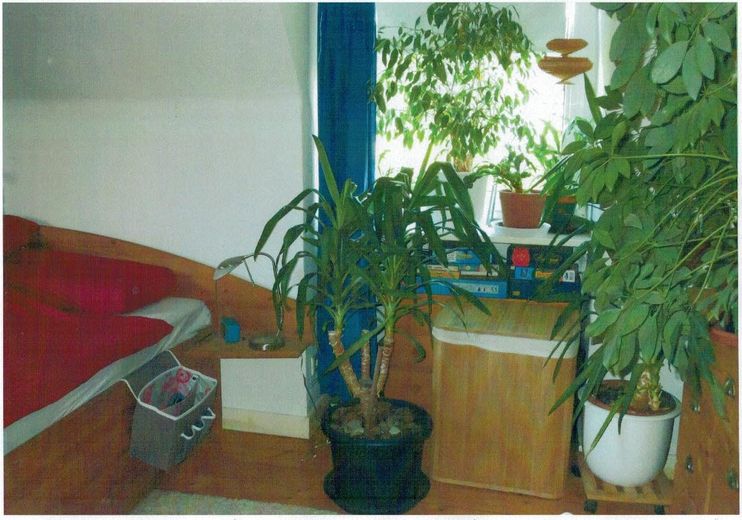 Schöne, helle 4-Zimmer Dachgeschosswohnung mit grossem Balkon im oberen Göttinger Ostviertel – Zimmer 1 Süden