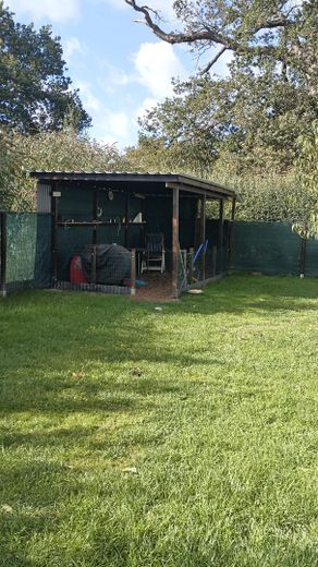 Garten hinten