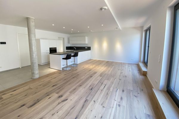 Helle Loft-Terassenwohnung sucht Nachmieter