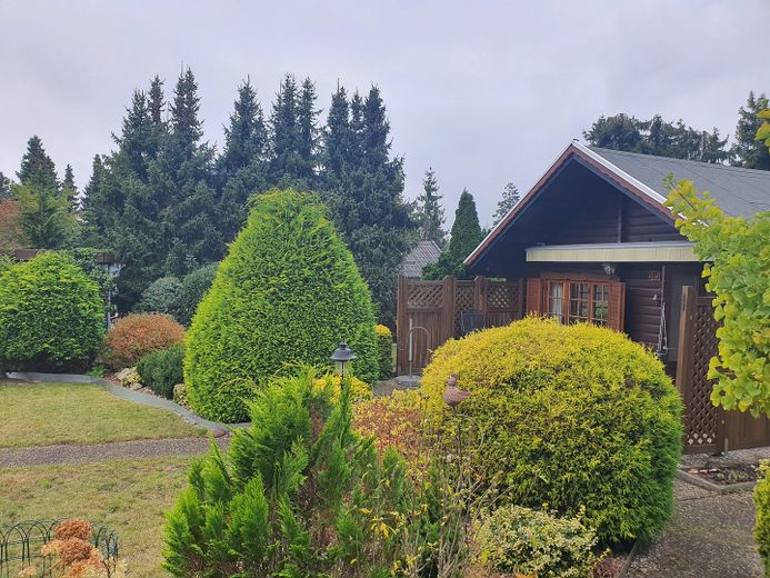 Garten  / Beflanzung 