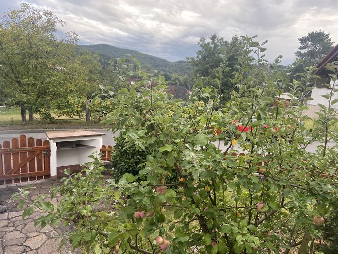 Eingang und Zugang Haus