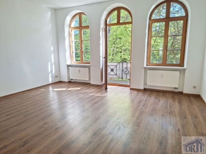 Große Wohnung im Zentrum mit Balkon -viel Grün- – Foto 1