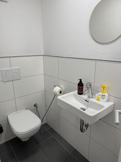 Alternative zur Wohnung - Doppelhaushälfte nach WEG in Heimsheim – Gäste WC EG