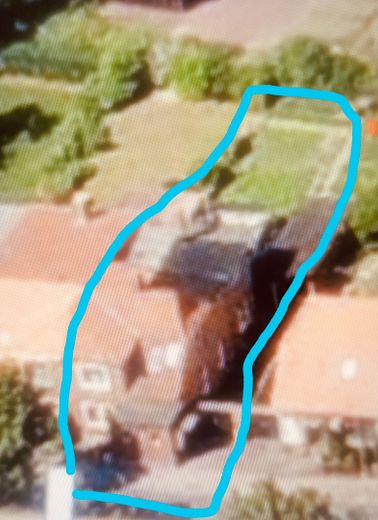 Vogeloptik