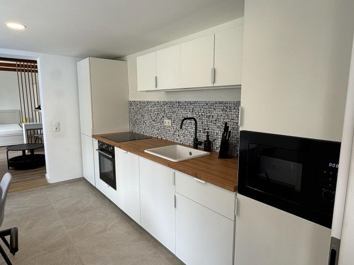 Voll möbliert: Brandneue, liebevoll eingerichtete Wohnung mit großer Terrasse und Garten in Dresden – Küche