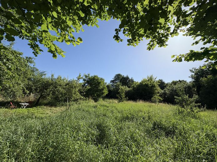 4.340 m² Natur in Biesenthal mit altem Baumbestand und Wasserlauf – Foto 11