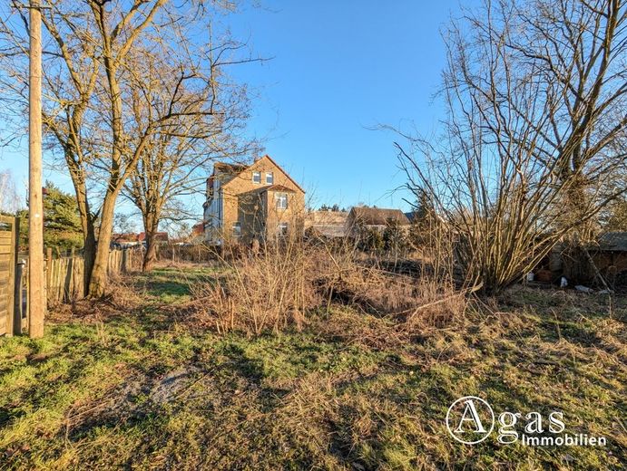 Traumgrundstück in Beelitz - bauträgerfrei – vorderer Grundstücksteil, Blick nach Osten